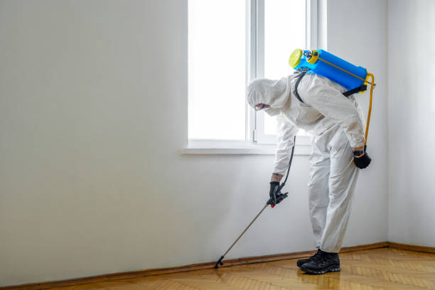 Best Emergency Pest Control  in New Canaan, CT
